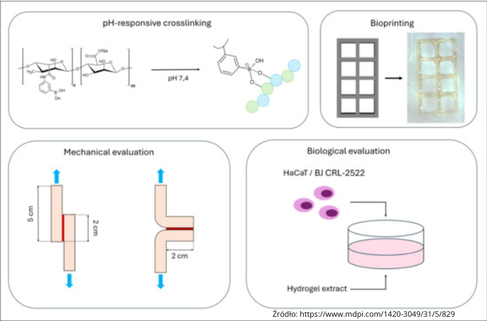 BioCloner Desktop Pro w projekcie badawczym